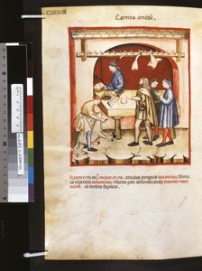 Theatrum sanitatis von Ububchasym de Baldach: 