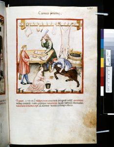 Theatrum sanitatis von Ububchasym de Baldach: 
