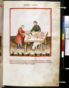 Theatrum sanitatis von Ububchasym de Baldach: 