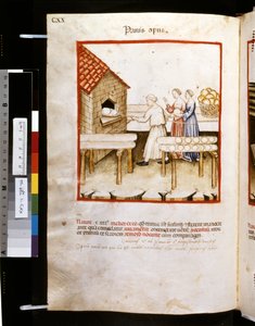 Theatrum sanitatis von Ububchasym de Baldach: 