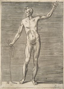 Mann von vorne gesehen, hält ein Seil in der rechten Hand, 16. Jahrhundert von Giulio Bonasone