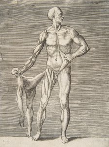 Mann von vorne gesehen, hält die Haut seines rechten Arms und Beins in seiner rechten Hand, 16. Jahrhundert von Giulio Bonasone