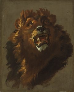 Löwe, 1750er von Giuseppe Baldrighi