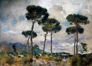 Kiefern von Giuseppe Casciaro
