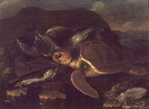 Stillleben mit einem Fisch und einer Schildkröte
