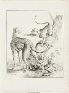 Hund und Affe