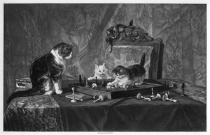 Katzen spielen mit einem Schachbrett