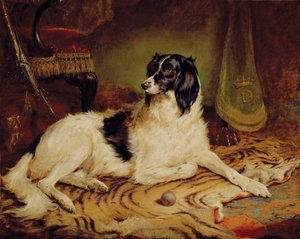 Minna, ein Lieblingshund von James, Marquess of Dalhousie von Gourlay Steel