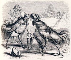 Das Rebhuhn und die zwei Hähne - Fabeln von La Fontaine