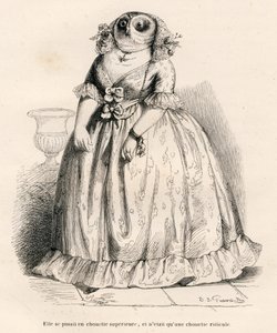 Eule, die sich überlegen fühlt, aber nur lächerlich ist. Vignetten illustriert von JJ Granville. Gravur signiert Rouget im Teil "Erinnerungen einer alten Krähe" geschrieben von PJ Stahl in "Szenen aus dem privaten und öffentlichen Leben der Tiere" von Grandville