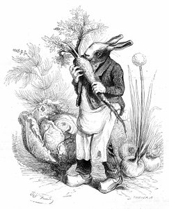 Grandville-Stich, aus dem Buch „Privates und öffentliches Leben der Tiere (Les animaux peints par eux-mêmes)“, Hetzel-Ausgabe 1867. Kaninchengärtner in Hufen knabbert eine Karotte in seinem Gemüsegarten, wo Gemüse (Zwiebeln und Kohl) wächst. von Grandville (1803 47)