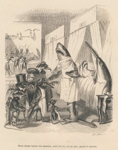 Die Hai-Ärzte erklären ihren chirurgischen Eingriff. Vignetten illustriert von JJ Granville. Gravur signiert Godard in dem Teil "Die Tierärzte" geschrieben von Pierre Bernard in "Szenen aus dem privaten und öffentlichen Leben der Tiere". Paris