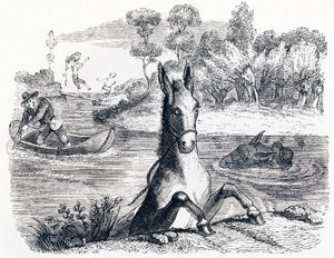 Der Esel mit dem Schwamm und der Esel mit dem Salz - Fabeln von La Fontaine von Grandville