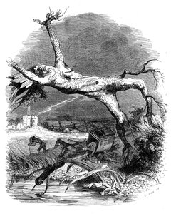 Die Eiche und das Schilfrohr: La Fontaines Fabel von Grandville (1803 47)