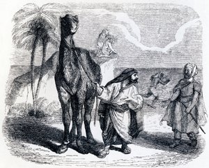 Das Kamel und die schwimmenden Stöcke - Fabeln von La Fontaine von Grandville