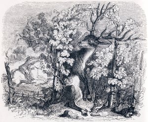Der Hirsch und der Weinstock - Fabeln von La Fontaine von Grandville