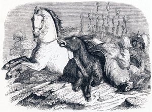 Das Pferd und der Esel - Fabeln von La Fontaine