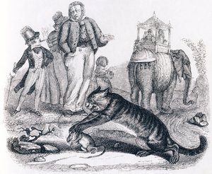 Die Ratte und der Elefant - Fabeln von La Fontaine