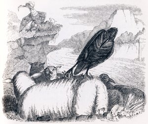 Der Rabe, der den Adler nachahmen wollte - Fabeln von La Fontaine