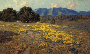 Kalifornische Mohnblumen von Granville Redmond