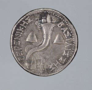 Silber-Didrachme von Berenike II