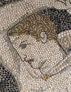 Kopf von Krateros, um 320 v. Chr. (Detail) von Greek School