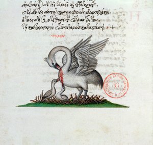 Ms 3401 Ein Pelikan, der seine Brust durchbohrt, um seine Jungen zu füttern, aus einem Bestiarium von Manuel Philes, 1566 von Greek School