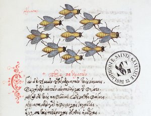 Ms 3402 Bienen, aus einem Bestiarium von Manuel Philes, 1566 von Greek School