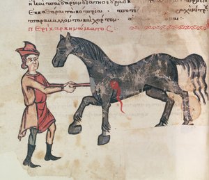 Ms Grec 2244 fol.37v Operation an einem Pferd von Greek School