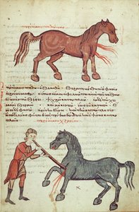 Ms Grec 2244 fol.4 Operation an einem Pferd