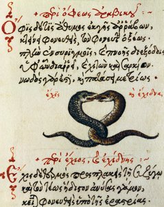 Schlangenkopplung, Test und Miniatur aus De animalium natura et proprietate libellus, von Aelianus
