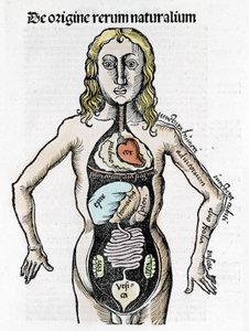 Schnitt des menschlichen Körpers - in „Margarita Philosophica“ von Gregor Reisch (1467-1525), Basel 1517.
