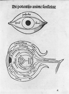 Studie des menschlichen Auges (Anatomische Tafel aus Margarita Philosophica von Gregor Reisch, Basel 1517) von Gregor Reisch