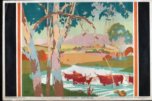 Rinderzucht - Australien