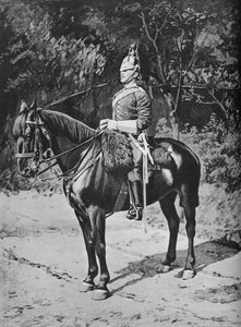 Trupp-Sergeant-Major, 3., Die Dragonerwache des Prinzen von Wales, ca. 1880