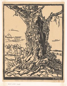 Linde in Lage Vuursche von Gretha Pieck