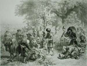 Traubenernte in Kakhetien, Georgien, Tafel 30 aus einem Buch über den Kaukasus