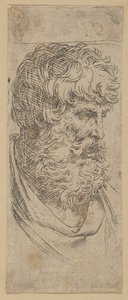 Büste eines bärtigen Mannes, ca. 1600-1640