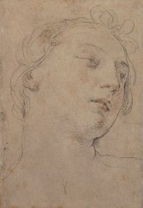 Der Kopf Europas von Guido Reni