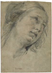 Der Kopf einer jungen Frau, die nach oben schaut, ca. 1609 von Guido Reni