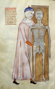 Medizin: Anatomie- und Chirurgie-Tafel, die eine Dissektionsszene darstellt. Seite aus dem Manuskript „Liber notabilium Philippi septimi francorum regis, a libris Galieni extractus“ von Gui de Pavie von Guido da Vigevano da Pavia
