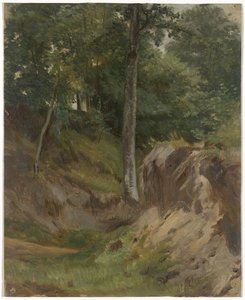 Trockener Bach im Wald von Guillaume Anne van der Brugghen
