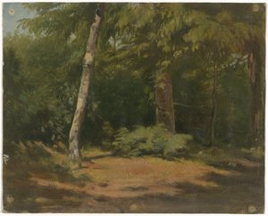 Lichtung im Wald