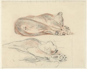 Zwei Studien eines liegenden Tigers von Guillaume Anne van der Brugghen
