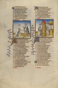 Roman de la Rose