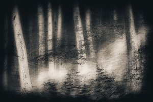 Nebliger Waldtraum von Gustav Davidsson