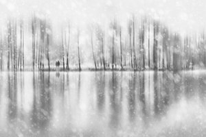 Winterpaar-Reflexion