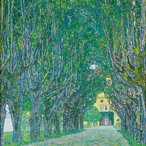 Allee zum Schloss Kammer
