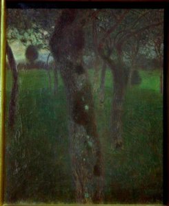 Obstgarten am Abend