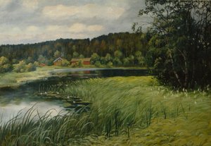 Sommerabend in Bondi von Gustav Wentzel
